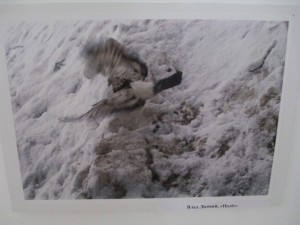 IMG_1510