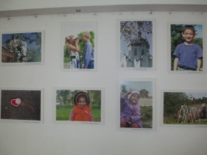 IMG_1517