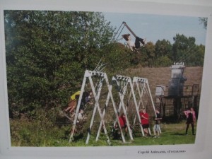 IMG_1518