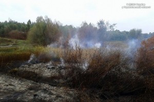 завантаження-12