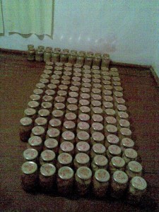 12360204_1532603140389868_4539451911231994641_n
