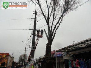 DSC01880
