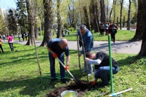 platan_250415_03