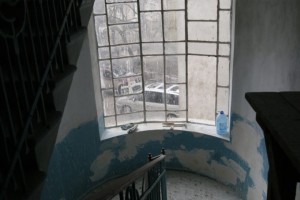 shevchenka_2-7