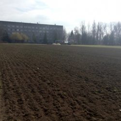 ФК «Тернопіль» оновлює своє тренувальне поле