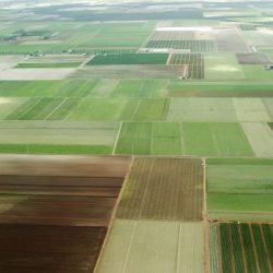 На Тернопільщині подорожчає оренда землі