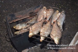 PM81image002