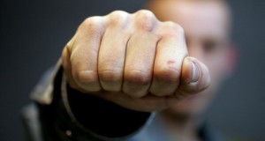 img_541-300x160