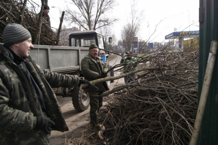У Тернополі на Злуки підрізали дерева