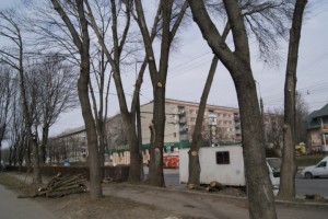 zluky-15