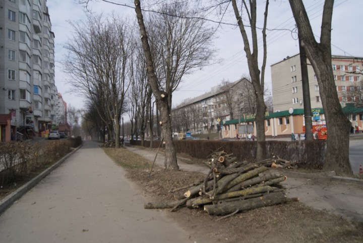 У Тернополі на Злуки підрізали дерева