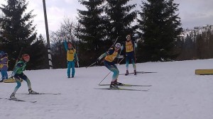 біатлон