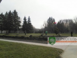 квіти