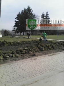 квіти2