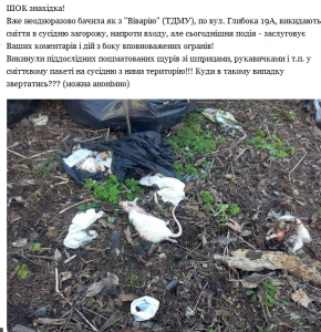 щури