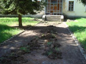 dsc03237