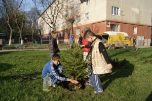 komservis-31 (1)
