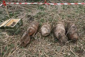 скачанные файлы