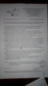 щ1