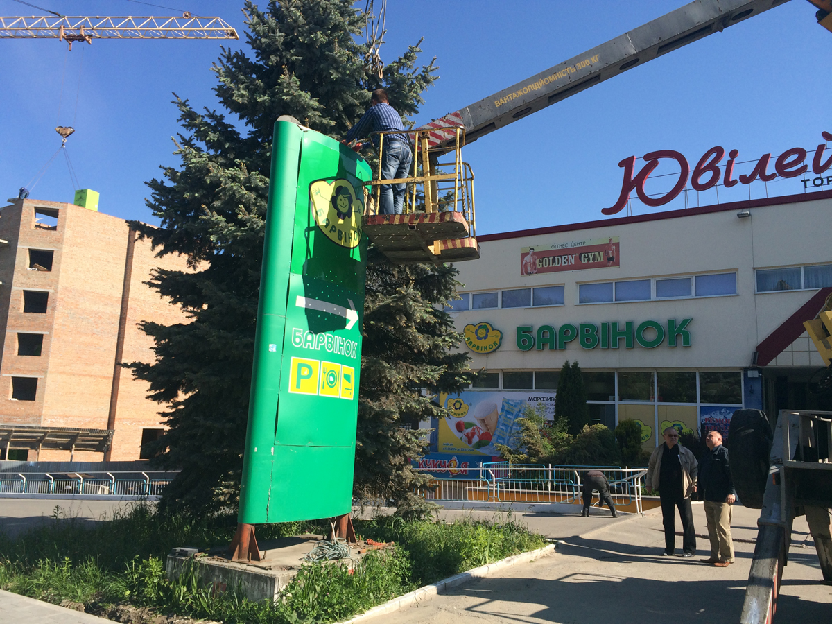 барвінок