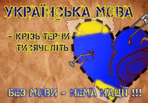 mova-300x209
