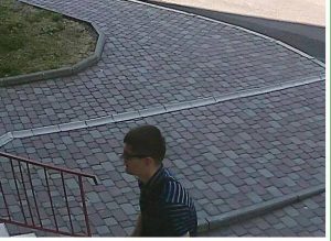 грабіжники