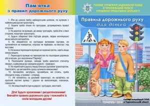 пдр