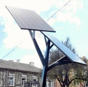 1460889947_solnechnoe-derevo-ternopol