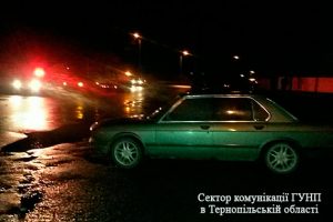 pm63image002