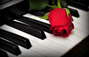 rose-piano-keys-broken