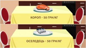 758030_1572770