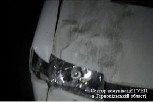 pm174image001