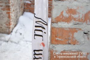 pm715image002