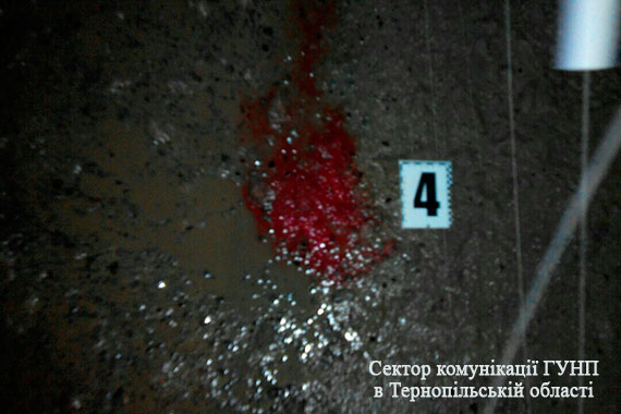 pm721image002