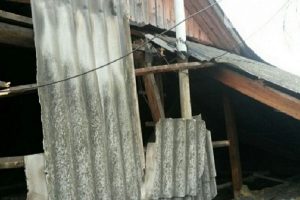 foto1
