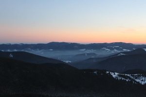 1483784734-rizne-goverla3-jpg
