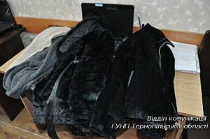 PM115image001