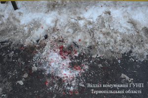 PM215image005