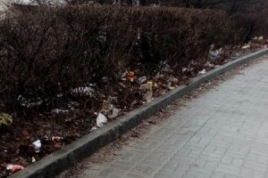 1488923470--misto--musor-jpg