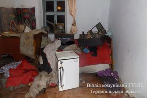 PM951image004 — копия