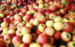 apple-246896