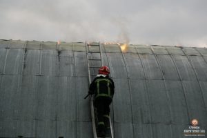 IMG_1236