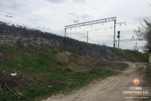 IMG_7761