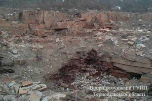PM136image001