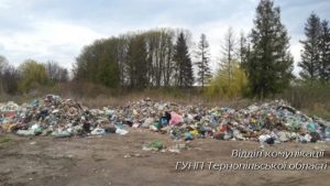 PM486image001