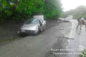 PM132image001