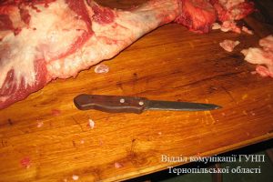 PM587image001