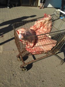 19105963_1141994569239823_3540698499054411294_n