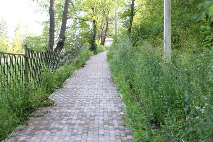 IMG_9847_o270717