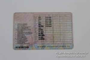 PM385image002